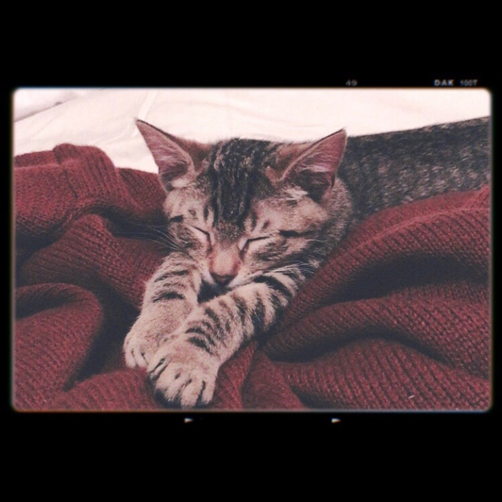 Meet your Posher, Jenny